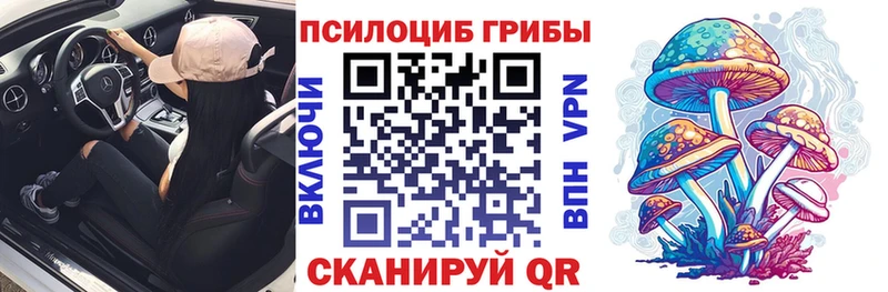 Псилоцибиновые грибы Cubensis  Псков 